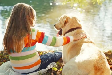 Tener perros y gatos en casa ayuda a prevenir las alergias alimentarias en niños