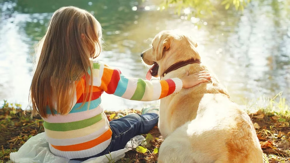 Tener perros y gatos en casa ayuda a prevenir las alergias alimentarias en niños