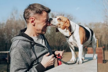 ¿Por qué los perros lamen la cara de las personas?