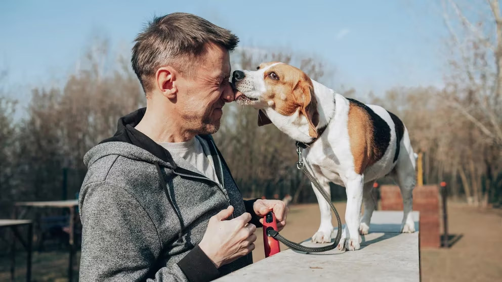 ¿Por qué los perros lamen la cara de las personas?