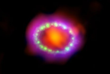 El telescopio espacial James Webb reveló estructuras nunca antes vistas de una estrella supernova