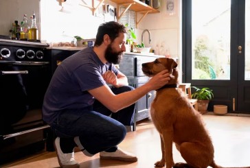 Las formas en que los perros muestran amor, lealtad y respeto por sus tutores