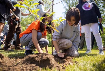 Día Mundial de la Ecología: 8 pequeñas acciones que pueden generar grandes cambios en el planeta