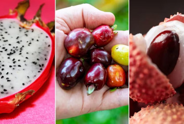 Tres frutas poco conocidas con increíbles beneficios para la salud