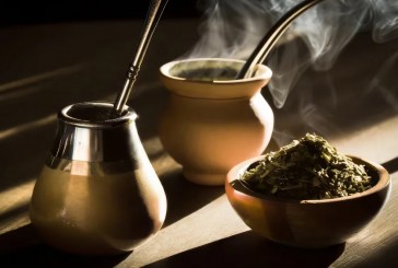 Mate, té o café: cuáles son los beneficios para la salud de estas infusiones