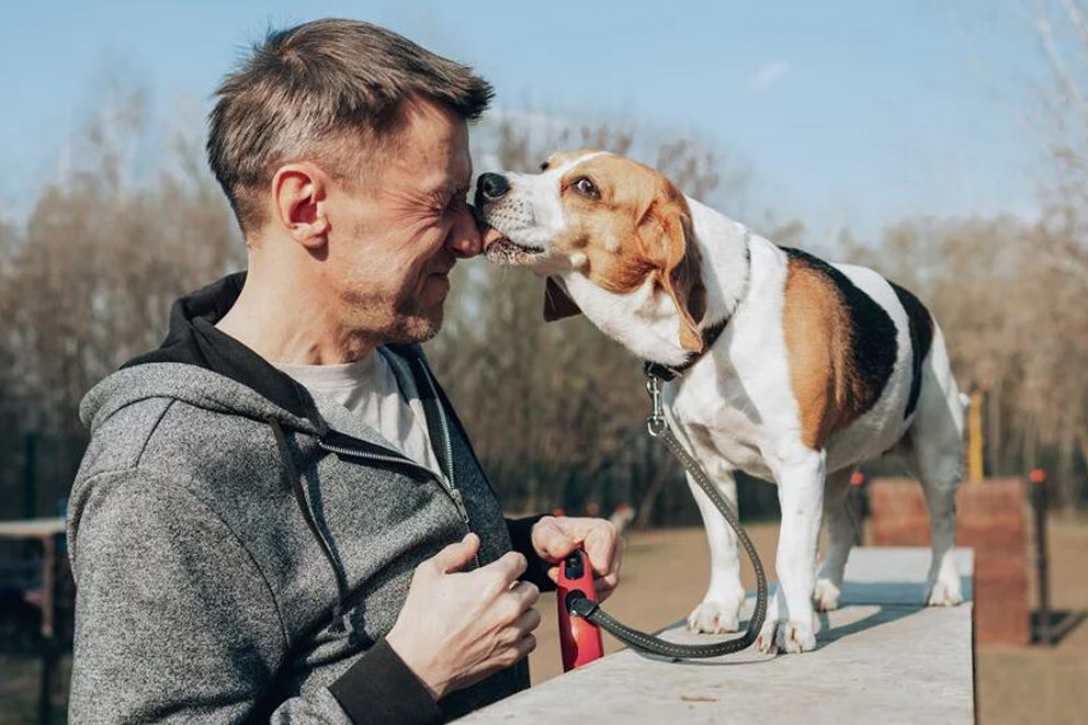 ¿Qué significa que un perro te lama?