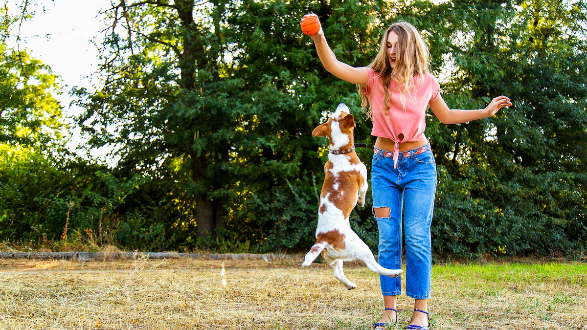 Jugar con tu perro es la mejor forma de reducir el estrés, según un estudio